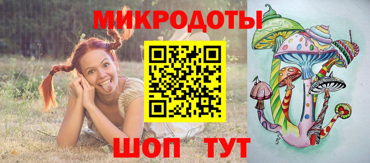 Галлюциногенные грибы Psilocybe Тара